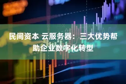 民间资本 云服务器：三大优势帮助企业数字化转型