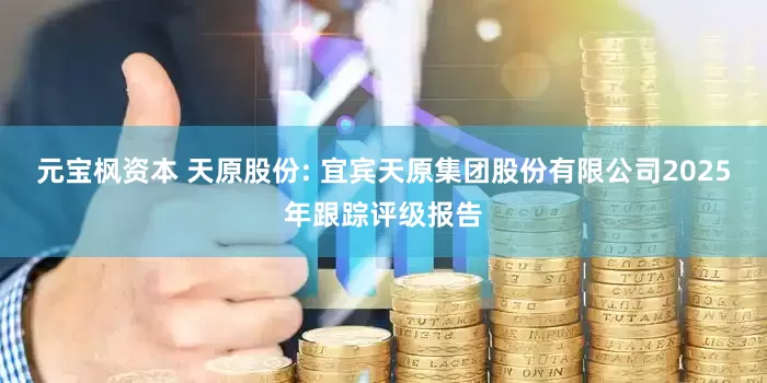 元宝枫资本 天原股份: 宜宾天原集团股份有限公司2025年跟踪评级报告
