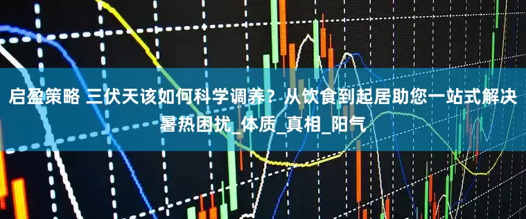 启盈策略 三伏天该如何科学调养？从饮食到起居助您一站式解决暑热困扰_体质_真相_阳气