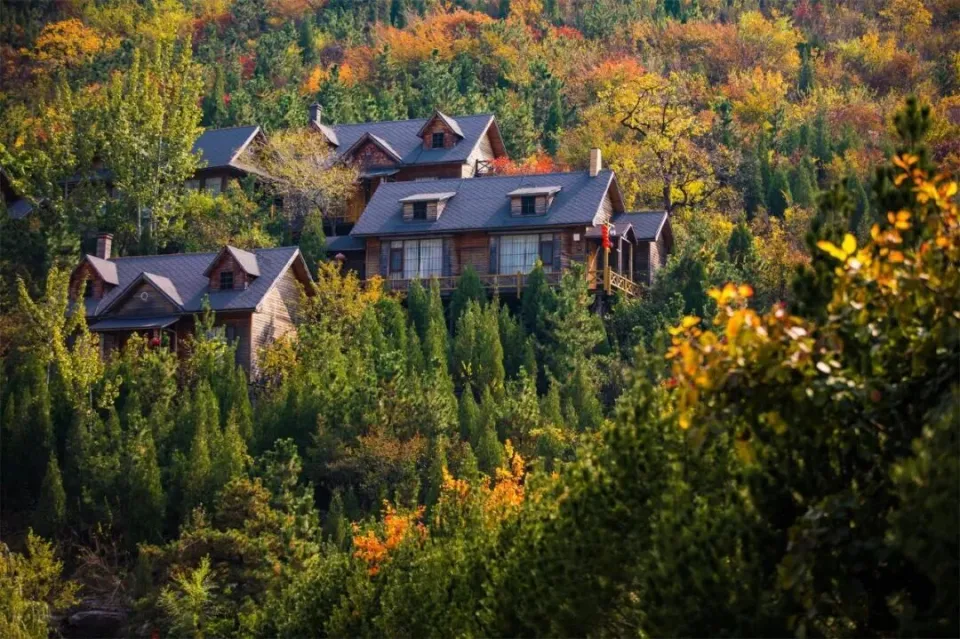 博盈配资 淄博金秋打卡攻略！红叶进入高饱和模式，教你拍出手机氛围感大片！