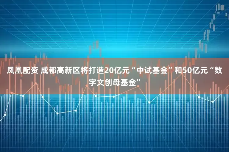 凤凰配资 成都高新区将打造20亿元“中试基金”和50亿元“数字文创母基金”